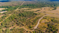 property photo for Gracyn Meadows Tract 17, 5.06 acres for sale in Okfuskee County, Oklahoma