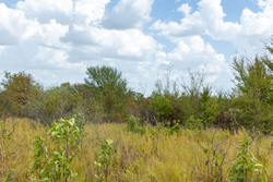 property photo for Gracyn Meadows Tract 17, 5.06 acres for sale in Okfuskee County, Oklahoma