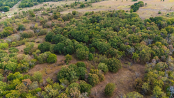 property photo for Gracyn Meadows Tract 17, 5.06 acres for sale in Okfuskee County, Oklahoma
