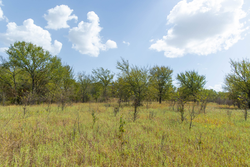 property photo for Gracyn Meadows Tract 18, 5.36 acres for sale in Okfuskee County, Oklahoma