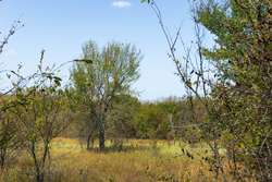 property photo for Gracyn Meadows Tract 18, 5.36 acres for sale in Okfuskee County, Oklahoma