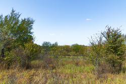 property photo for Gracyn Meadows Tract 18, 5.36 acres for sale in Okfuskee County, Oklahoma