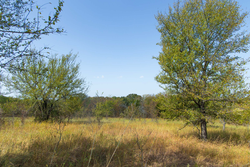 property photo for Gracyn Meadows Tract 18, 5.36 acres for sale in Okfuskee County, Oklahoma