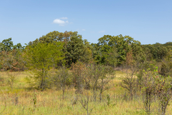 property photo for Gracyn Meadows Tract 18, 5.36 acres for sale in Okfuskee County, Oklahoma