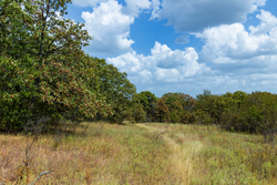 property photo for Gracyn Meadows Tract 19, 7.02 acres for sale in Okfuskee County, Oklahoma