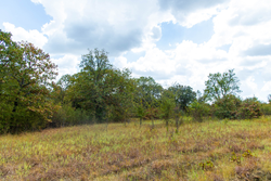 property photo for Gracyn Meadows Tract 19, 7.02 acres for sale in Okfuskee County, Oklahoma