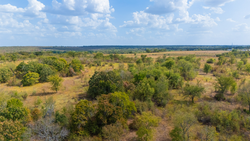 property photo for Gracyn Meadows Tract 19, 7.02 acres for sale in Okfuskee County, Oklahoma