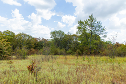 property photo for Gracyn Meadows Tract 19, 7.02 acres for sale in Okfuskee County, Oklahoma