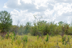 property photo for Gracyn Meadows Tract 19, 7.02 acres for sale in Okfuskee County, Oklahoma