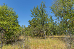 property photo for Gracyn Meadows Tract 2, 5.6 acres for sale in Okfuskee County, Oklahoma