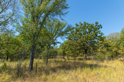 property photo for Gracyn Meadows Tract 2, 5.6 acres for sale in Okfuskee County, Oklahoma