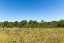property photo for Gracyn Meadows Tract 2, 5.6 acres for sale in Okfuskee County, Oklahoma