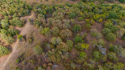 property photo for Gracyn Meadows Tract 2, 5.6 acres for sale in Okfuskee County, Oklahoma