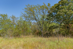 property photo for Gracyn Meadows Tract 2, 5.6 acres for sale in Okfuskee County, Oklahoma