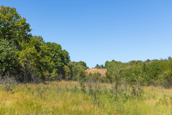 property photo for Gracyn Meadows Tract 2, 5.6 acres for sale in Okfuskee County, Oklahoma