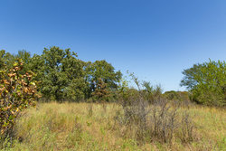 property photo for Gracyn Meadows Tract 2, 5.6 acres for sale in Okfuskee County, Oklahoma