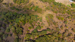 property photo for Gracyn Meadows Tract 2, 5.6 acres for sale in Okfuskee County, Oklahoma