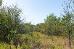 property photo for Gracyn Meadows Tract 20, 7.47 acres for sale in Okfuskee County, Oklahoma