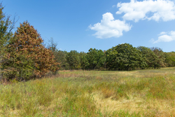 property photo for Gracyn Meadows Tract 20, 7.47 acres for sale in Okfuskee County, Oklahoma