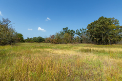 property photo for Gracyn Meadows Tract 20, 7.47 acres for sale in Okfuskee County, Oklahoma