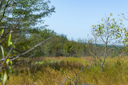 property photo for Gracyn Meadows Tract 20, 7.47 acres for sale in Okfuskee County, Oklahoma