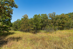 property photo for Gracyn Meadows Tract 20, 7.47 acres for sale in Okfuskee County, Oklahoma