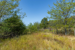 property photo for Gracyn Meadows Tract 20, 7.47 acres for sale in Okfuskee County, Oklahoma