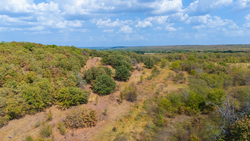property photo for Gracyn Meadows Tract 20, 7.47 acres for sale in Okfuskee County, Oklahoma