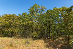 property photo for Gracyn Meadows Tract 20, 7.47 acres for sale in Okfuskee County, Oklahoma
