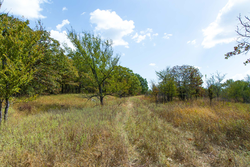 property photo for Gracyn Meadows Tract 20, 7.47 acres for sale in Okfuskee County, Oklahoma