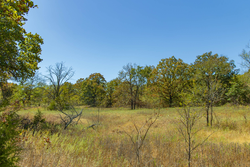 property photo for Gracyn Meadows Tract 3, 5.55 acres for sale in Okfuskee County, Oklahoma