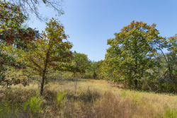 property photo for Gracyn Meadows Tract 3, 5.55 acres for sale in Okfuskee County, Oklahoma