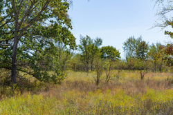 property photo for Gracyn Meadows Tract 3, 5.55 acres for sale in Okfuskee County, Oklahoma