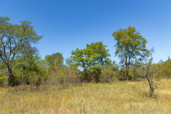 property photo for Gracyn Meadows Tract 3, 5.55 acres for sale in Okfuskee County, Oklahoma