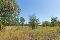 property photo for Gracyn Meadows Tract 3, 5.55 acres for sale in Okfuskee County, Oklahoma