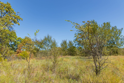 property photo for Gracyn Meadows Tract 3, 5.55 acres for sale in Okfuskee County, Oklahoma