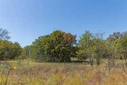 property photo for Gracyn Meadows Tract 3, 5.55 acres for sale in Okfuskee County, Oklahoma