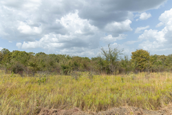 property photo for Gracyn Meadows Tract 4, 4.32 acres for sale in Okfuskee County, Oklahoma