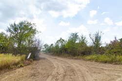 property photo for Gracyn Meadows Tract 4, 4.32 acres for sale in Okfuskee County, Oklahoma