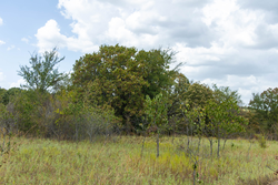 property photo for Gracyn Meadows Tract 4, 4.32 acres for sale in Okfuskee County, Oklahoma