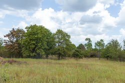 property photo for Gracyn Meadows Tract 4, 4.32 acres for sale in Okfuskee County, Oklahoma