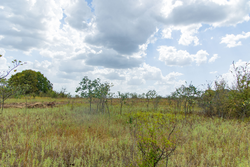property photo for Gracyn Meadows Tract 4, 4.32 acres for sale in Okfuskee County, Oklahoma