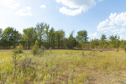 property photo for Gracyn Meadows Tract 5, 4.26 acres for sale in Okfuskee County, Oklahoma