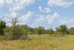 property photo for Gracyn Meadows Tract 5, 4.26 acres for sale in Okfuskee County, Oklahoma
