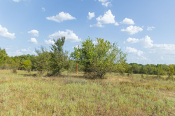 property photo for Gracyn Meadows Tract 5, 4.26 acres for sale in Okfuskee County, Oklahoma