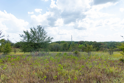 property photo for Gracyn Meadows Tract 6, 4.74 acres for sale in Okfuskee County, Oklahoma