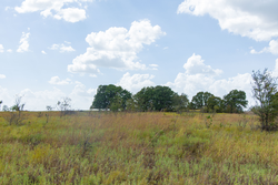 property photo for Gracyn Meadows Tract 6, 4.74 acres for sale in Okfuskee County, Oklahoma