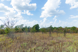 property photo for Gracyn Meadows Tract 6, 4.74 acres for sale in Okfuskee County, Oklahoma