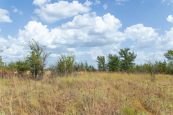 property photo for Gracyn Meadows Tract 6, 4.74 acres for sale in Okfuskee County, Oklahoma
