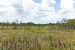 property photo for Gracyn Meadows Tract 6, 4.74 acres for sale in Okfuskee County, Oklahoma